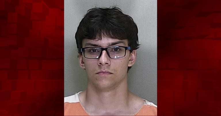 19 year old man flees deputy on I 75 after running stop sign