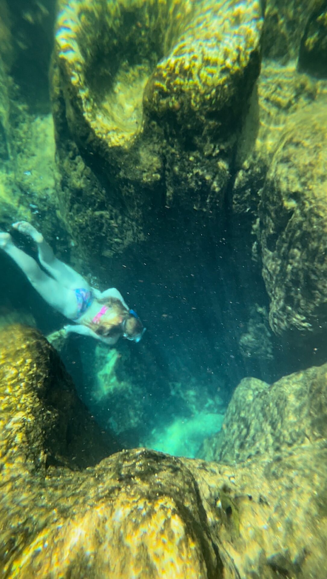 Diving deep into Salt Springs Recreation Area