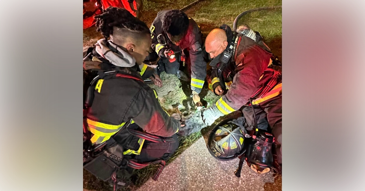 Ocala Fire Rescue unit rescues dog from house fire in 1900 block of NW 6th Street in early morning hours on May 25, 2023