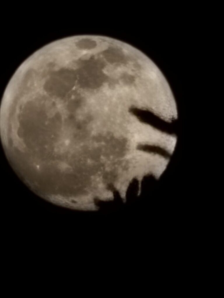 Full moon shining over Reddick