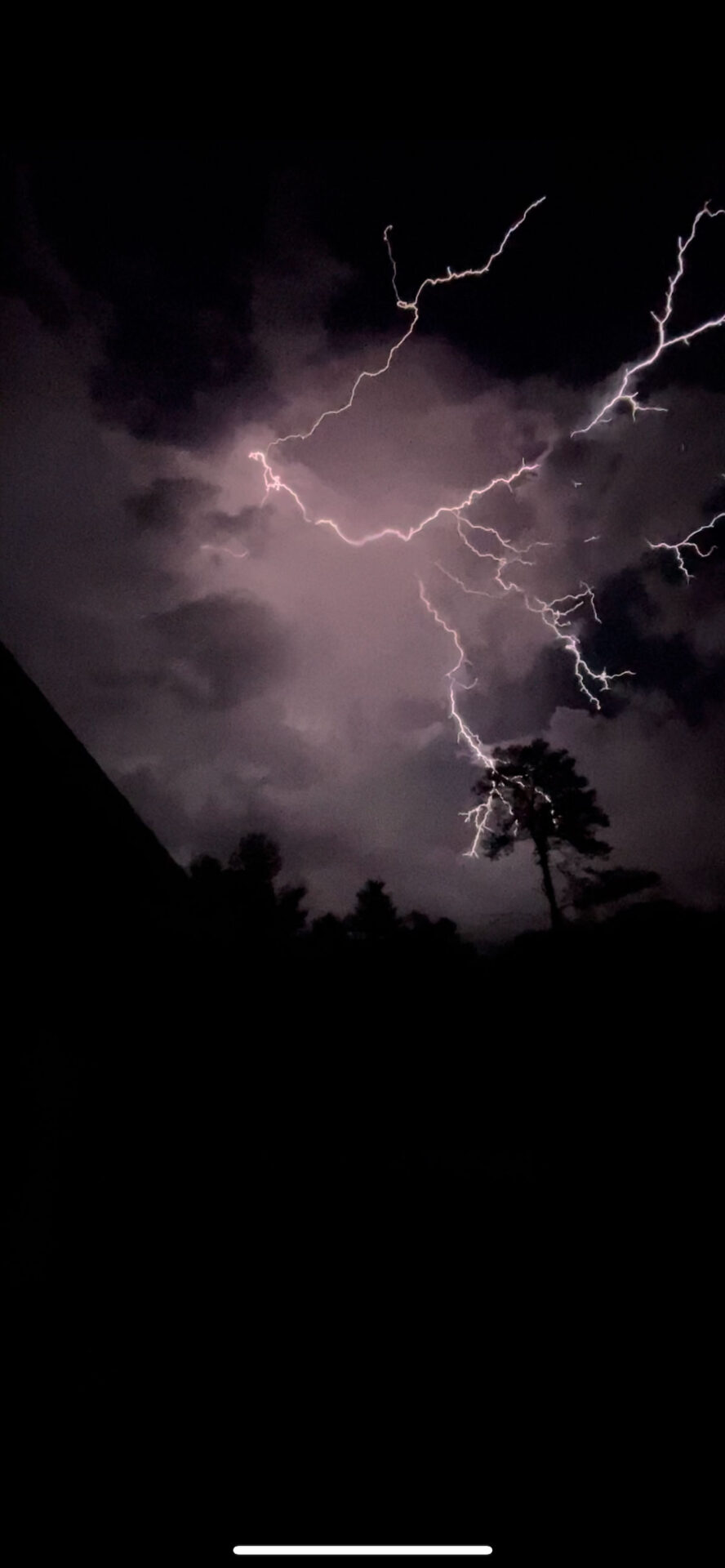 Lightning above Marion Oaks