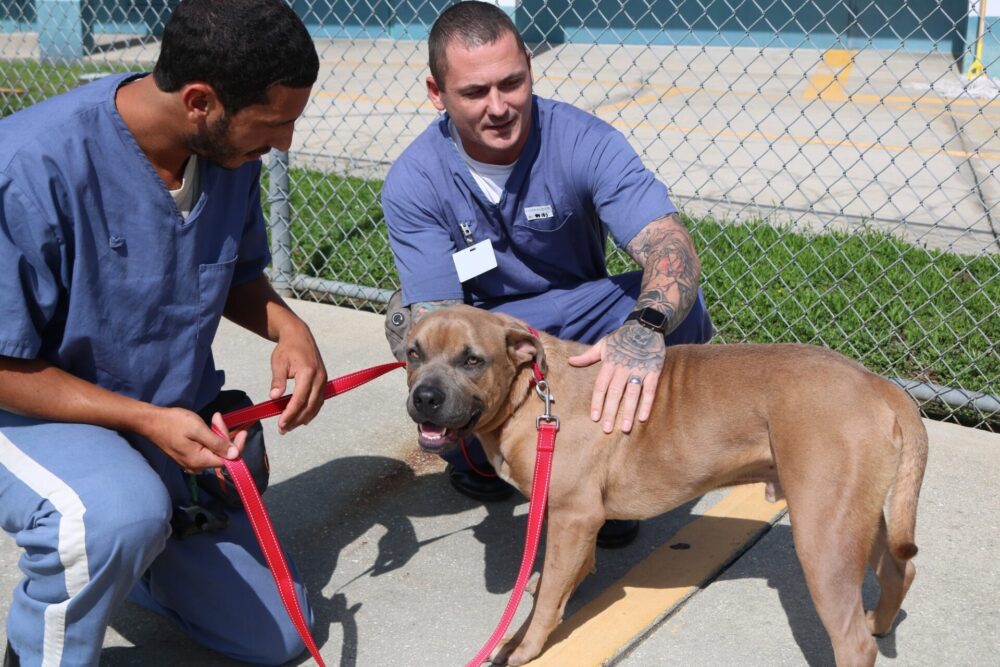 Marion County Animal Services FIDO project inmates with dog (2023) 10