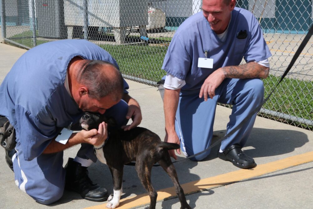 Marion County Animal Services FIDO project inmates with dog (2023) 11
