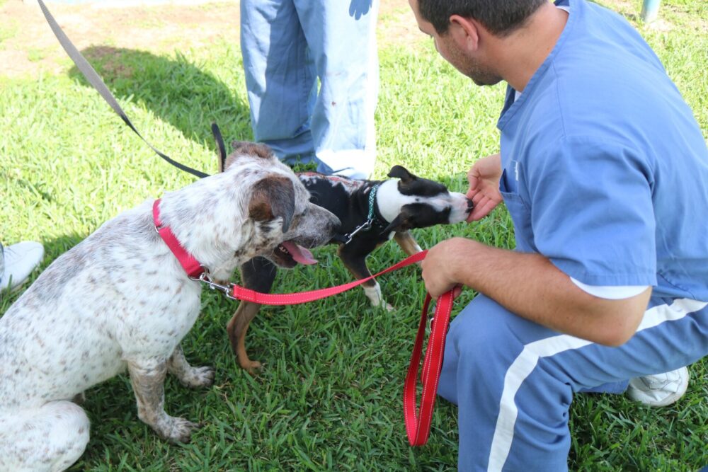 Marion County Animal Services FIDO project inmates with dog 