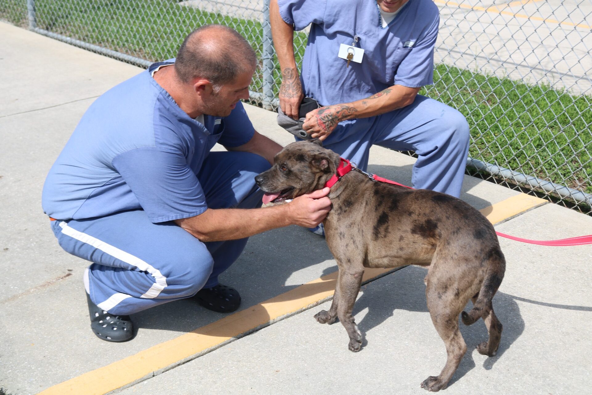 Marion County Animal Services FIDO project inmates with dog (2023) 6