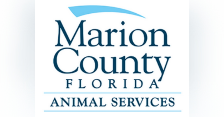 Animal Services to take part in Mega Adoption event to find homes for 5000 sheltered pets