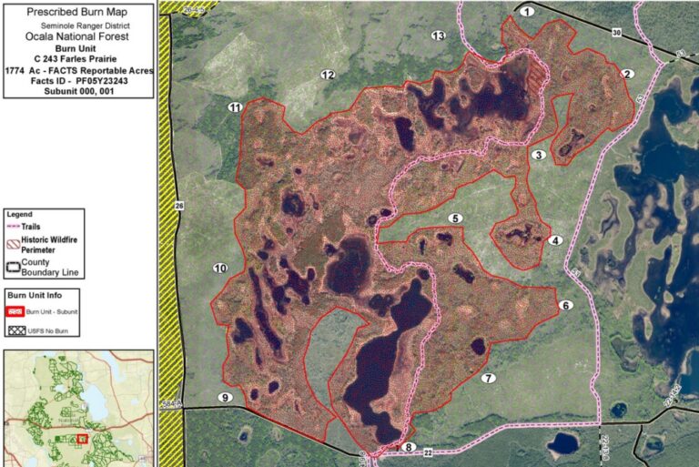 Map of prescribed burn in Ocala National Forest (6 8 23)