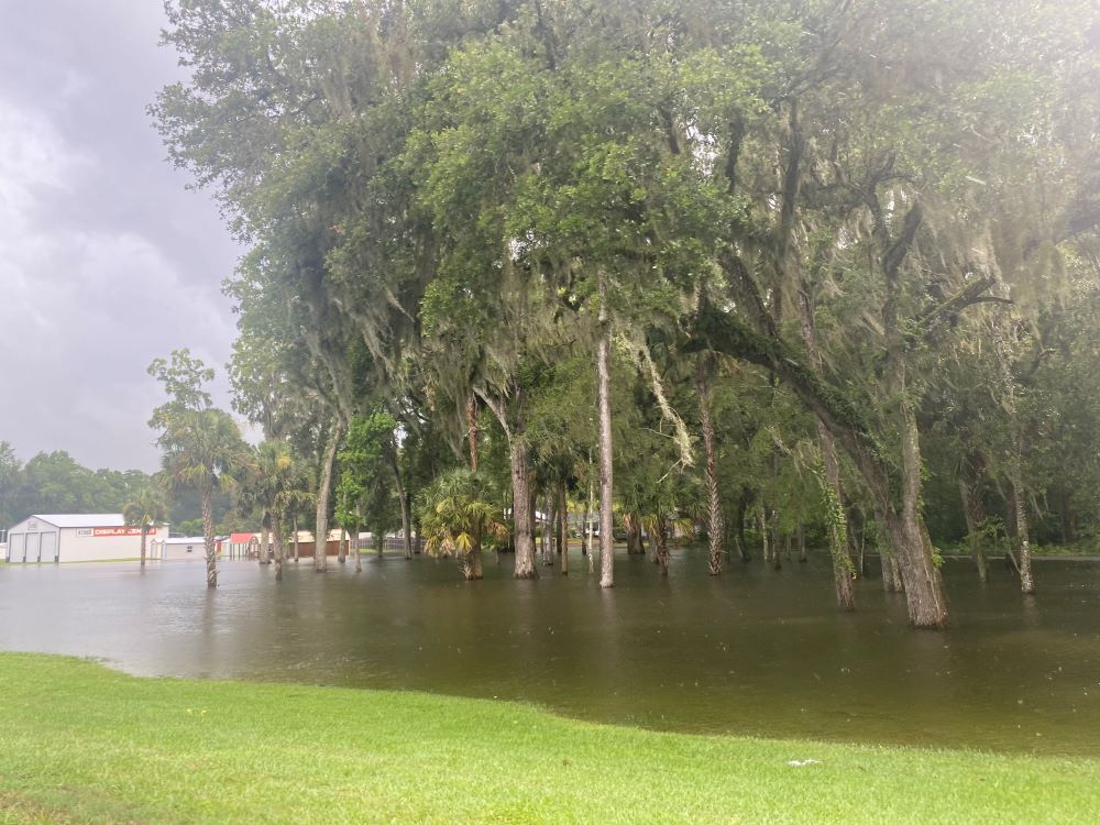 Ocala Drive in flooding June 22, 2023 (2)