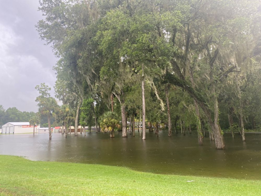 Ocala Drive in flooding June 22, 2023 (2) Ocala Drive in flooding June 22, 2023 (2)
