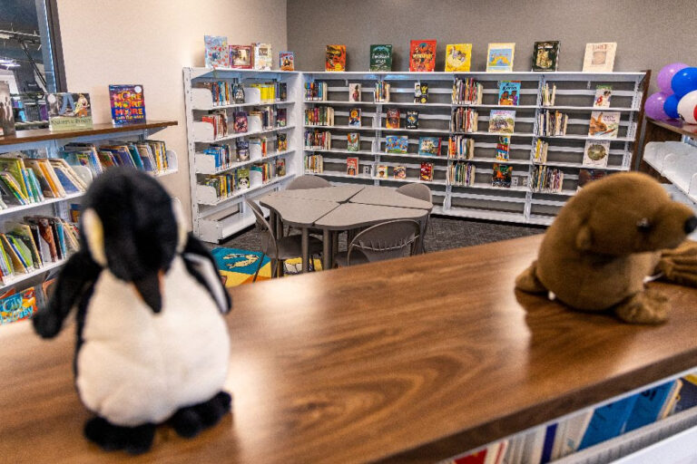 Sankofa Public Library's Children's Section during its grand opening in January