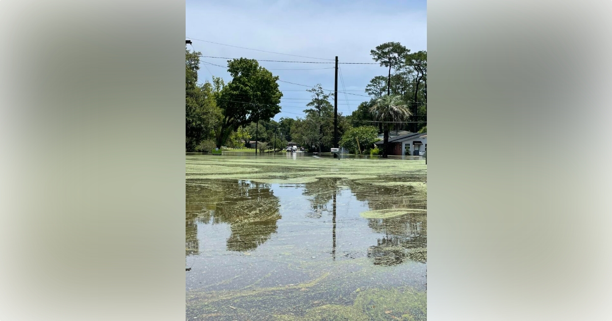 Several Ocala parks closed due to flooding and storm damage 2