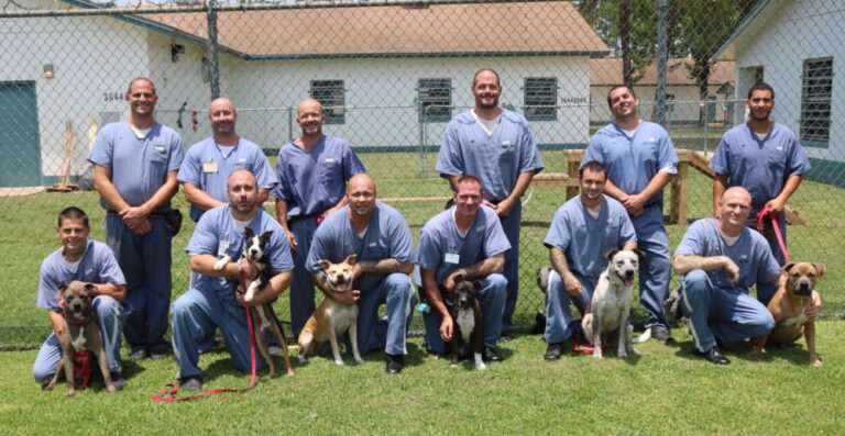 Marion County Animal Services FIDO project dogs (July 2023)