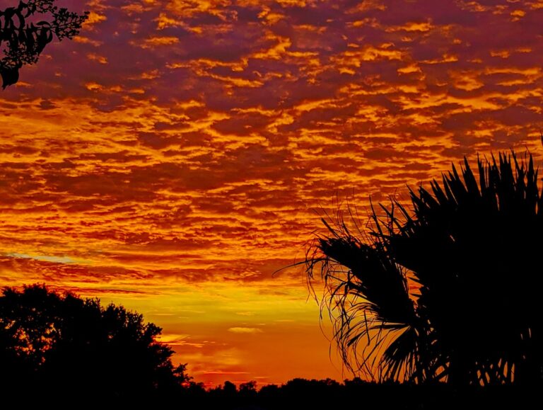 Orange sunset over Summerglen