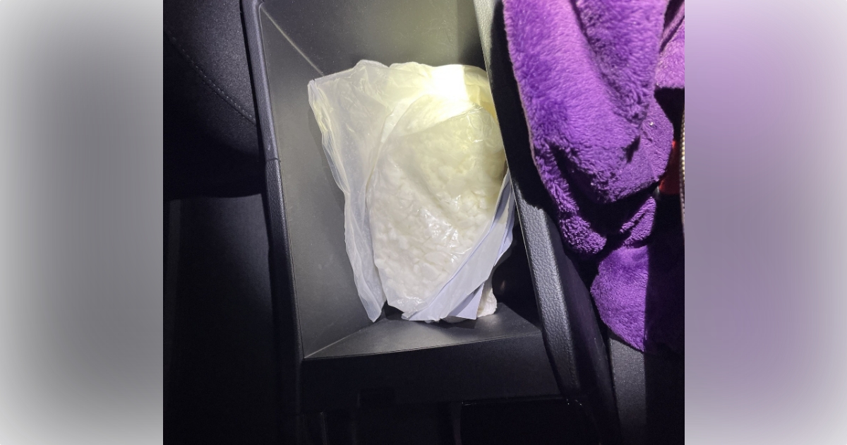 Traffic stop arrest Passenger caught with 500 grams of MDPV Traffic stop arrest Passenger caught with 500 grams of MDPV