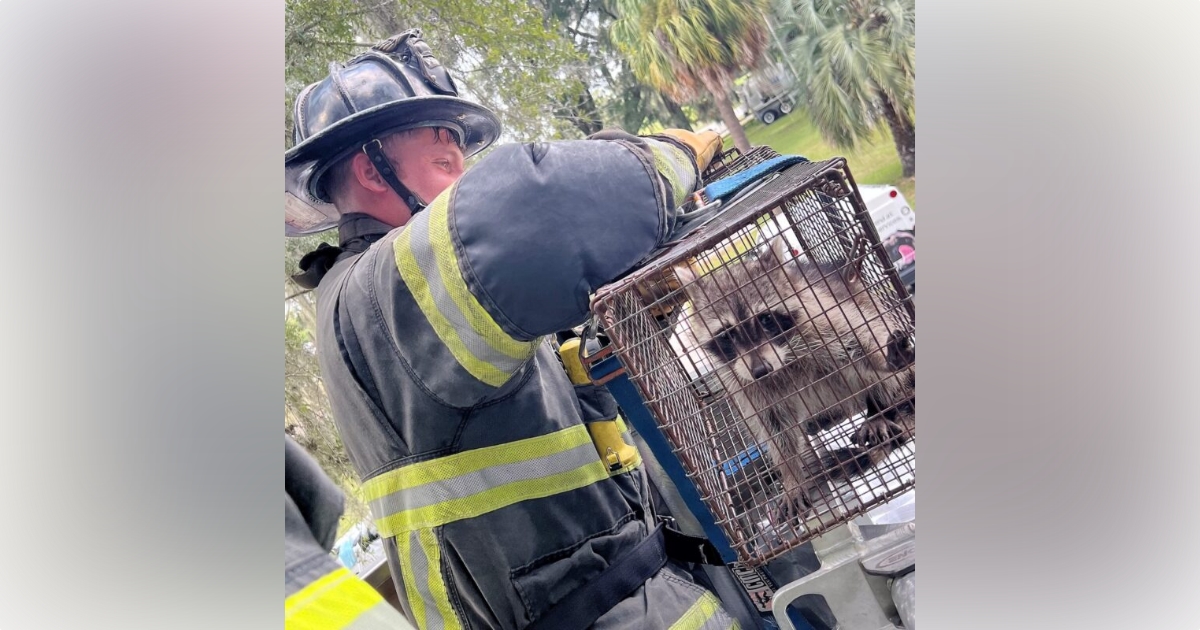 Marion firefighters rescue raccoon stuck in jar 1
