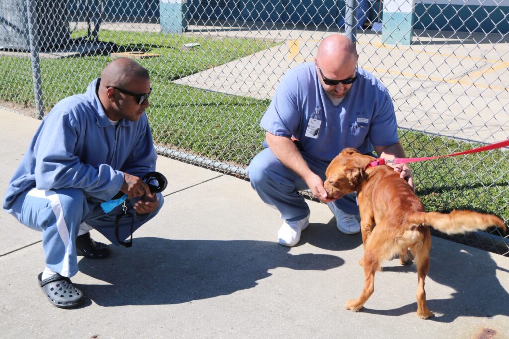 Marion County Animal Services FIDO Project inmates greeting Dewey