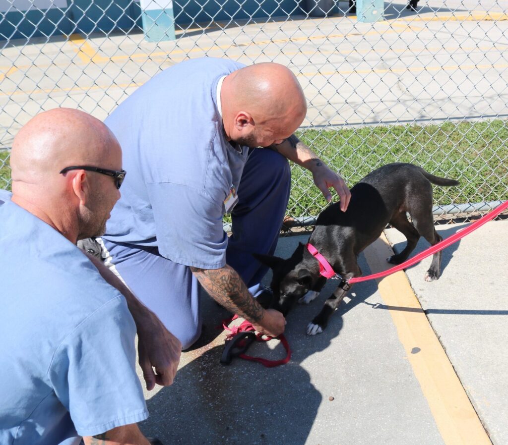 Marion County Animal Services FIDO Project inmates greeting Ember