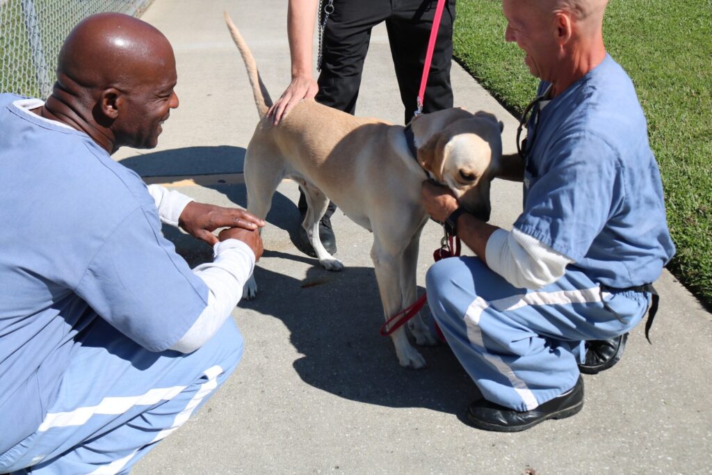 Marion County Animal Services FIDO Project inmates greeting Scout