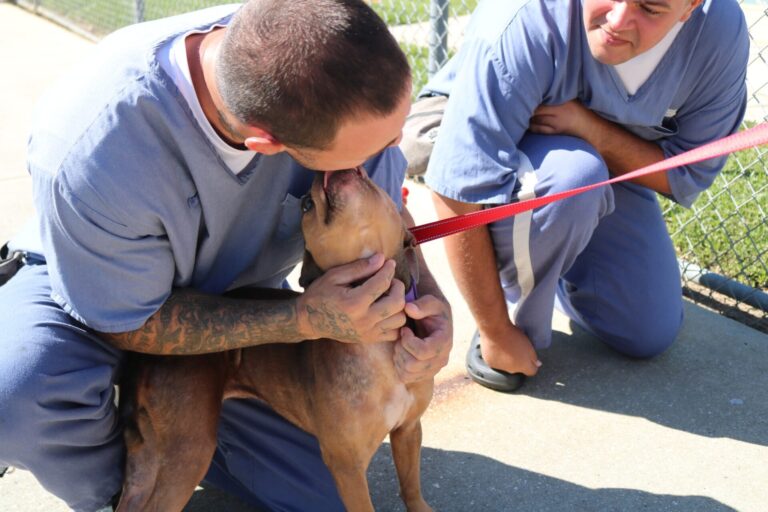 Marion County Animal Services FIDO Project inmates greeting Twig