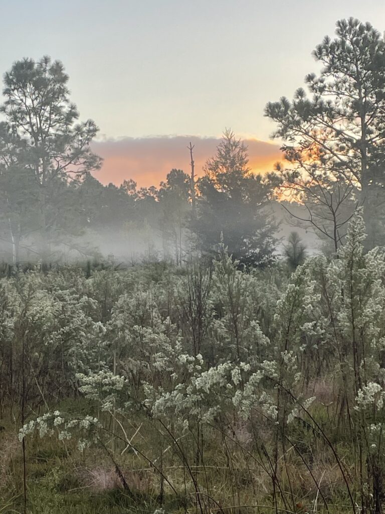 Misty morning sunrise at Baseline Trailhead Park
