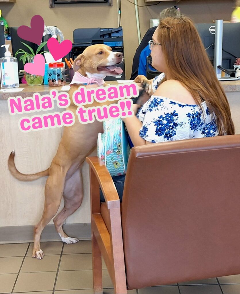 Nala (dog) reunited with original caregiver after spending 2 and a half years at Marion County animal shelter (Marion County Animal Services Oct 2023)
