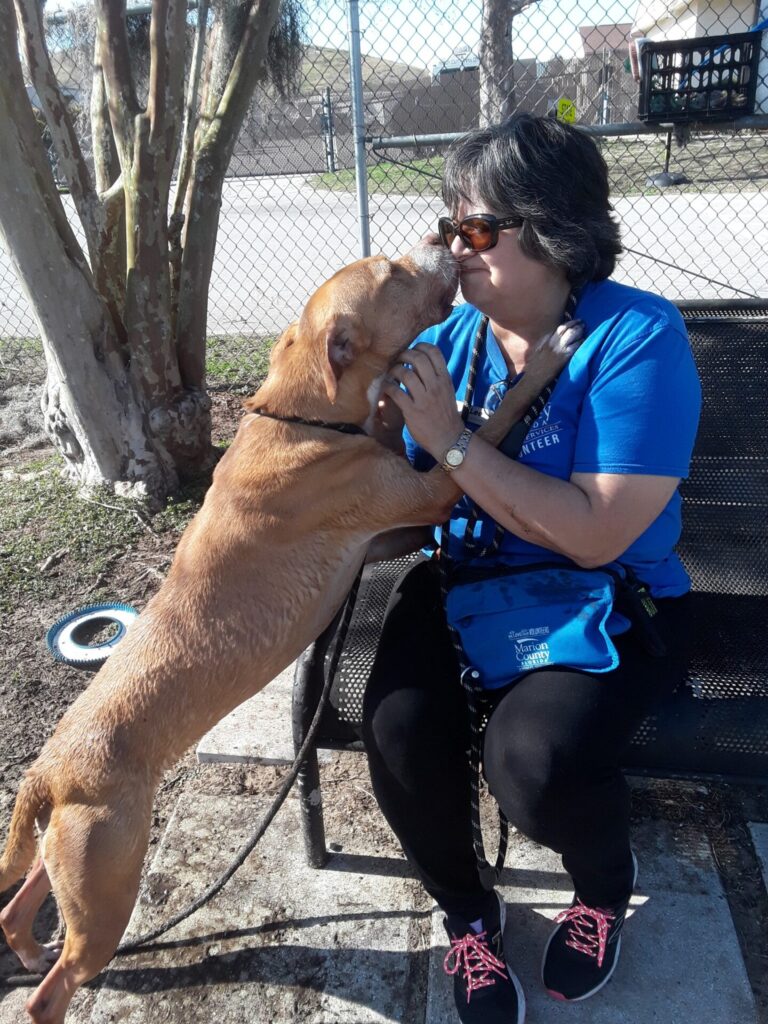 Nala (dog) with a volunteer (Animal Services)