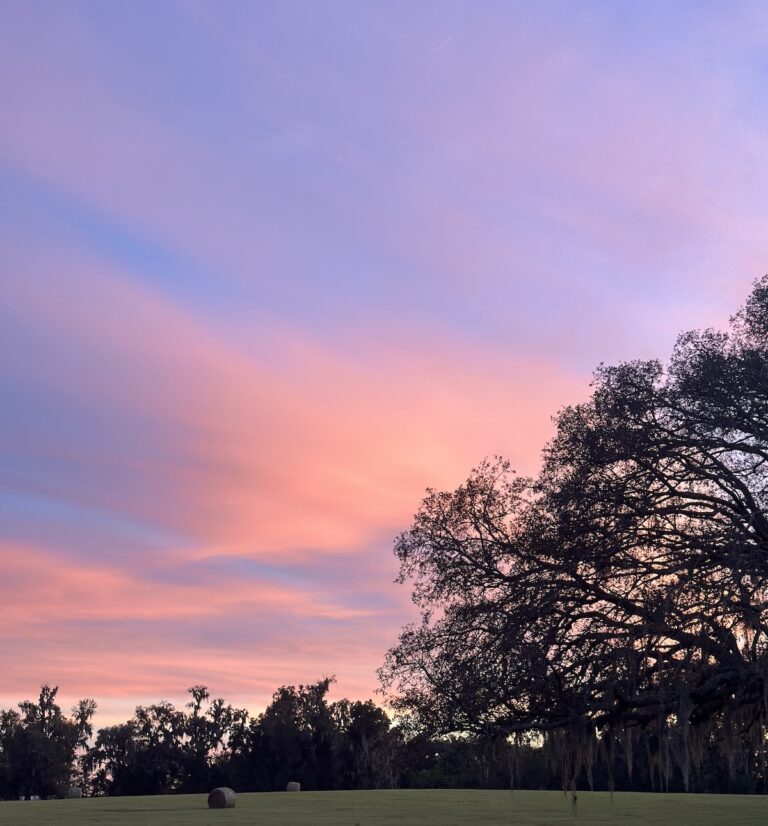 Beautiful sunset over Belleview pasture