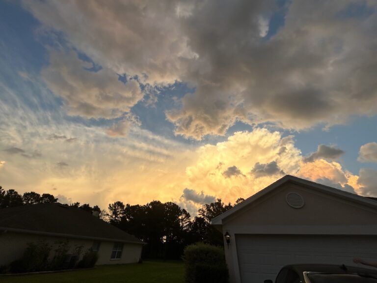 Gorgeous sunset from Ocala front yard
