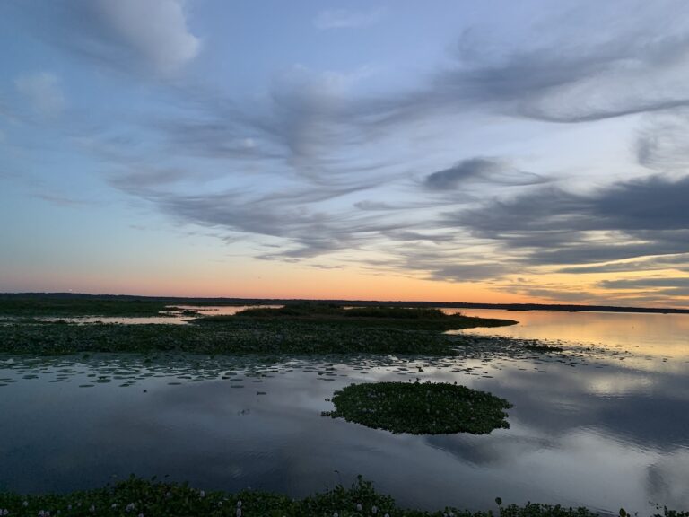 Sunrise over water at Paynes Prairie Preserve State Park