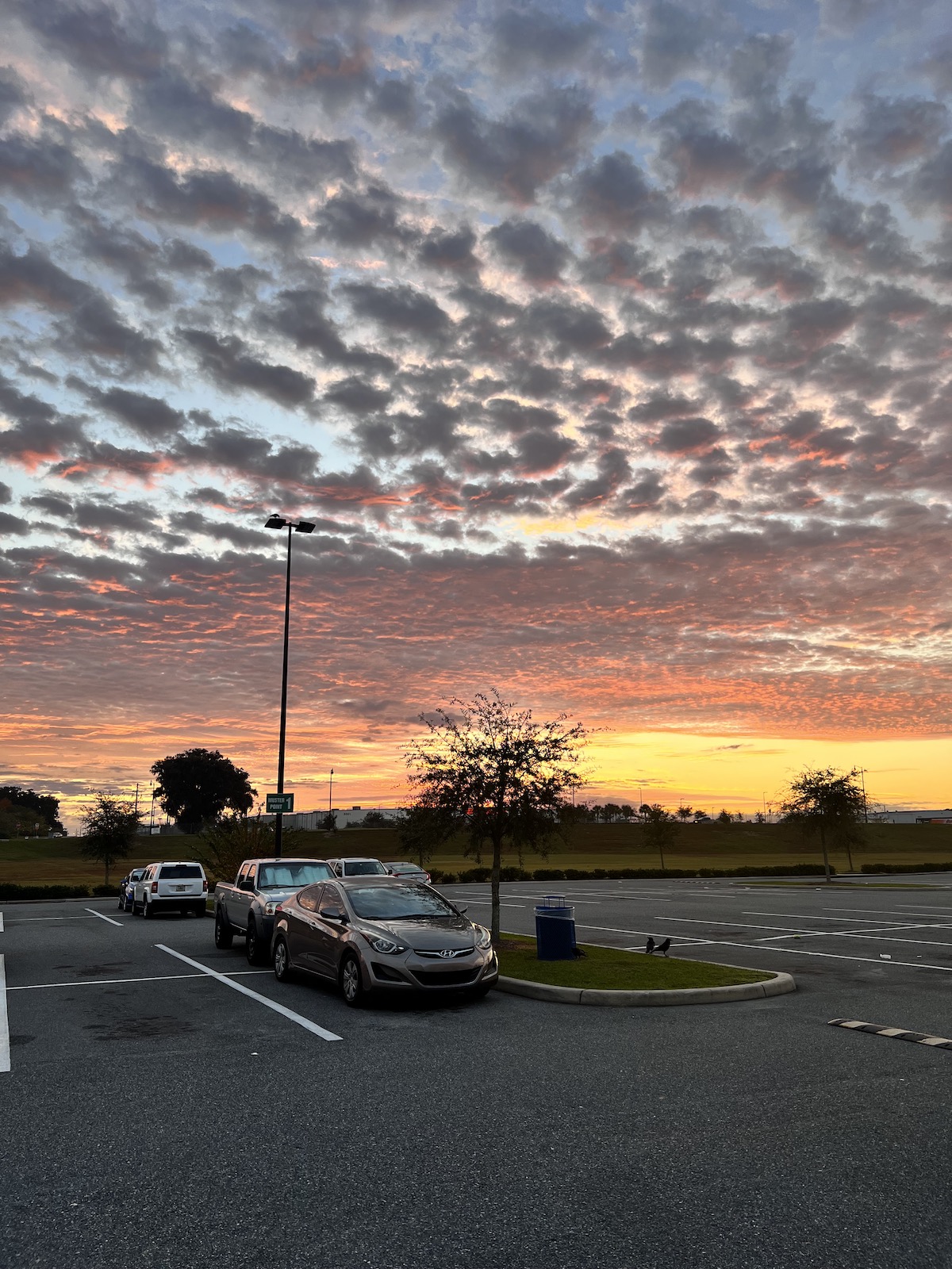 Beautiful morning sunrise over Ocala