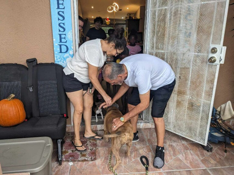 Dog named Nala reunited with owners in Palm Bay in Nov 2023 owners greeting Nala at home