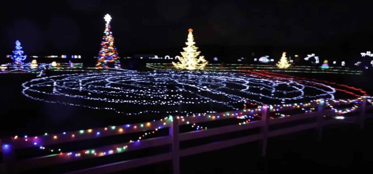 Ocala Christmas Spectacular at Florida Horse Park