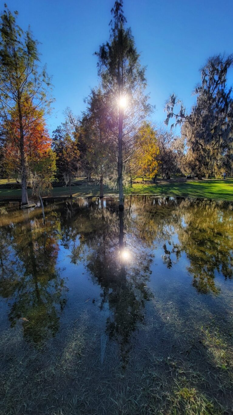 Peaceful reflections at Sholom Park