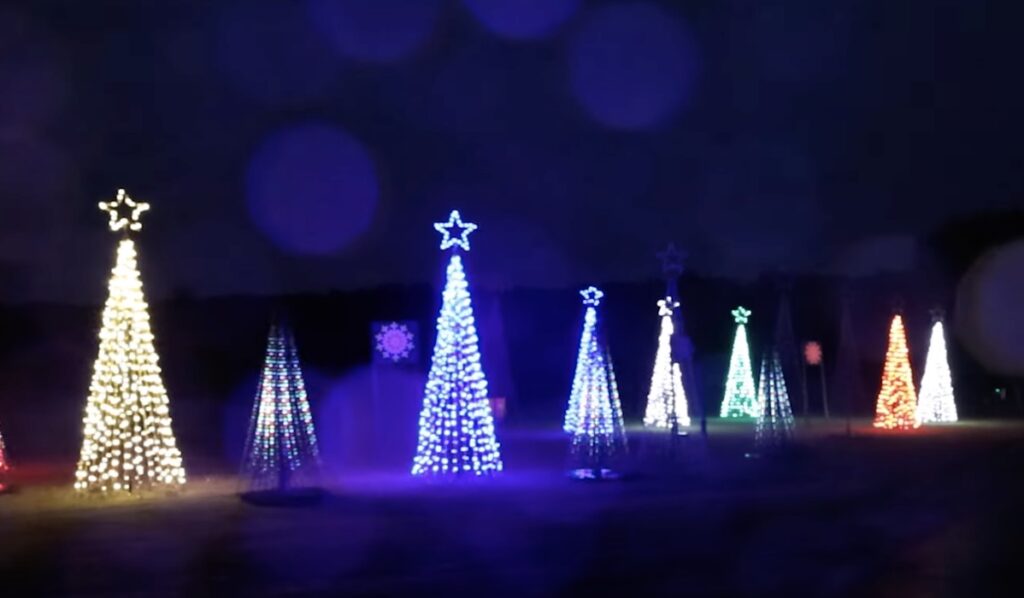 Trees at Ocala Christmas Spectacular