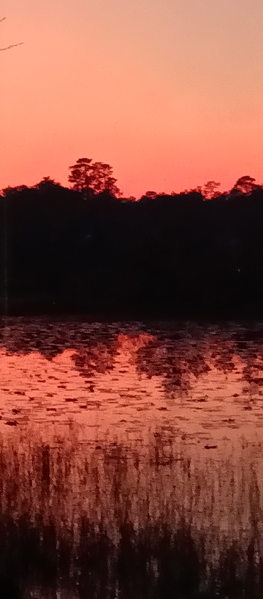 Beautiful sunset over Lake Waldena