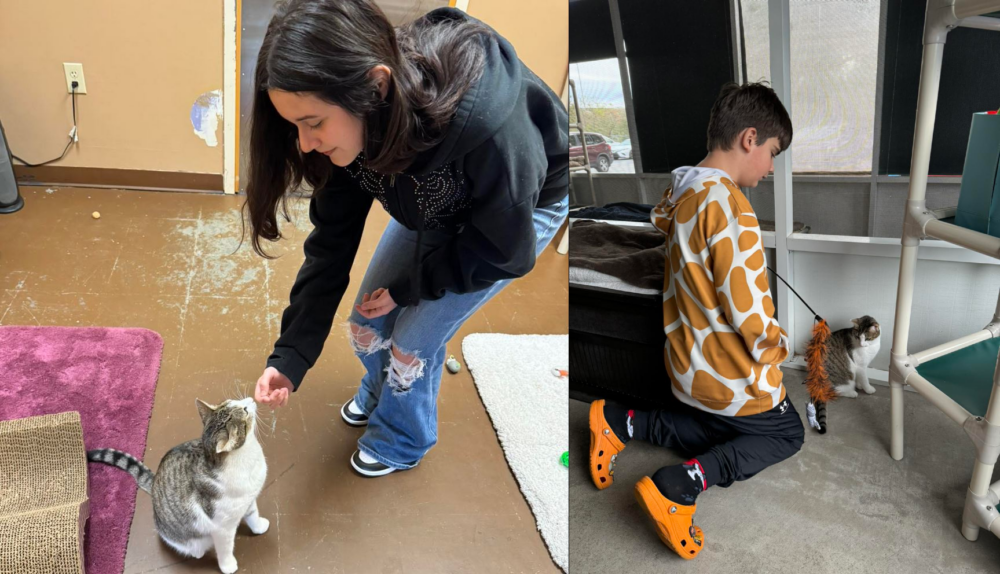 Humane Society of Marion County cat program for youth two kids playing with cats (merged) 1
