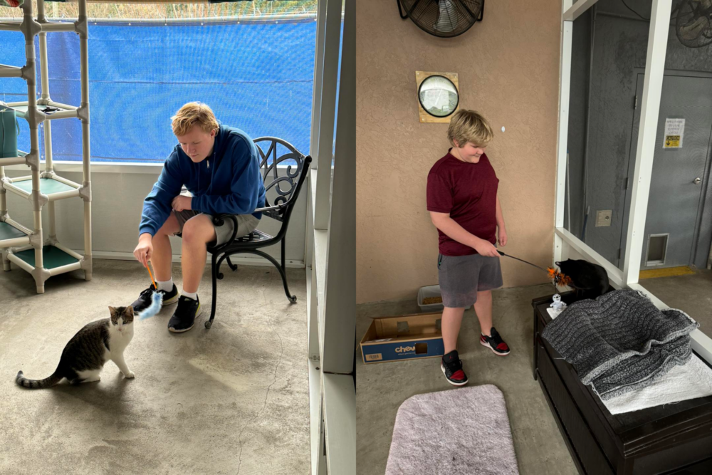 Humane Society of Marion County cat program for youth two kids playing with cats (merged) 2
