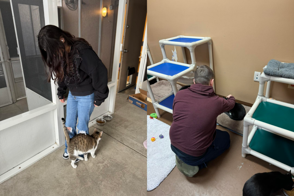 Humane Society of Marion County cat program for youth two kids playing with cats (merged) 3