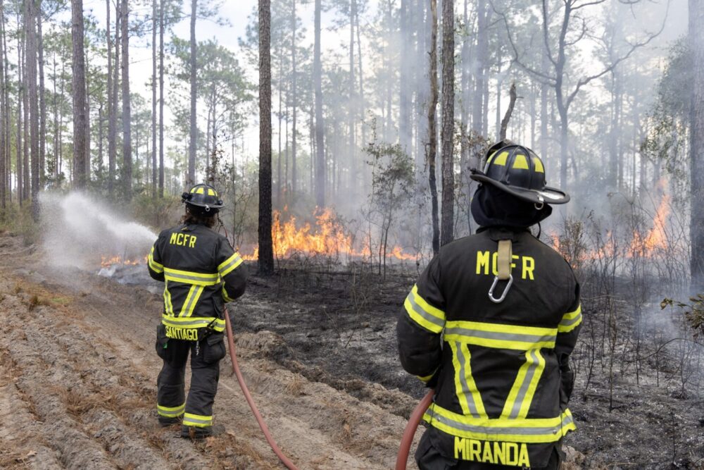 Marion County Fire Rescue crews working to extinguish the brush fire in Marion Oaks on January 25, 2024 (photo MCFR) Marion County Fire Rescue crews working to extinguish the brush fire in Marion Oaks on January 25, 2024 (photo MCFR)