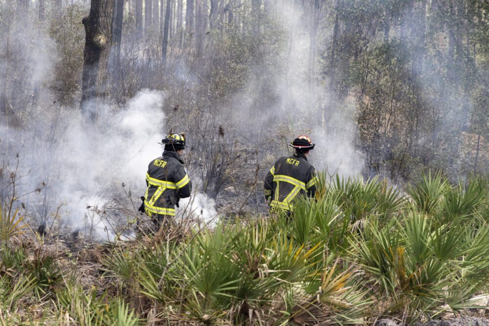 Smoke rises as Marion County Fire Rescue crews battle the brush fire in Marion Oaks on January 25, 2024 (photo MCFR) Smoke rises as Marion County Fire Rescue crews battle the brush fire in Marion Oaks on January 25, 2024 (photo MCFR)