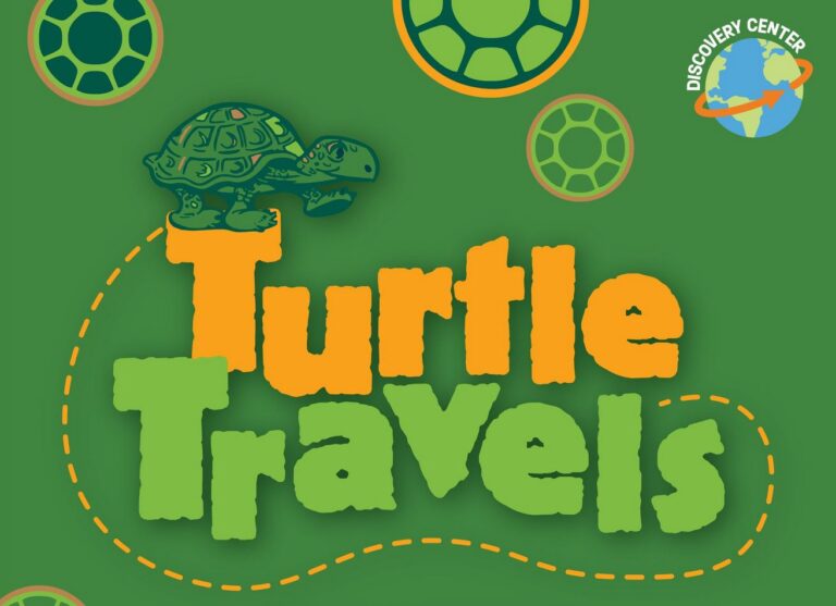 Turtle Travels Discovery Center