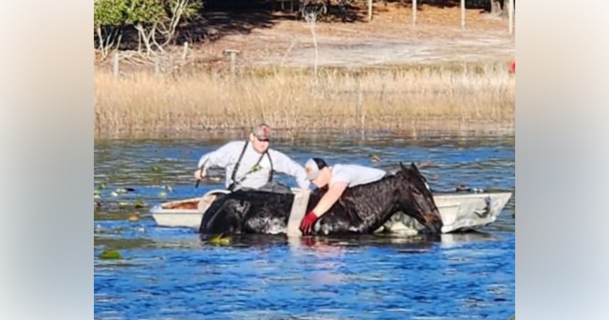 Marion County firefighters rescue horse trapped in pond