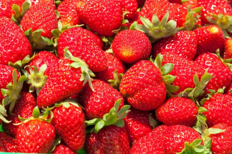 strawberries (stock image)