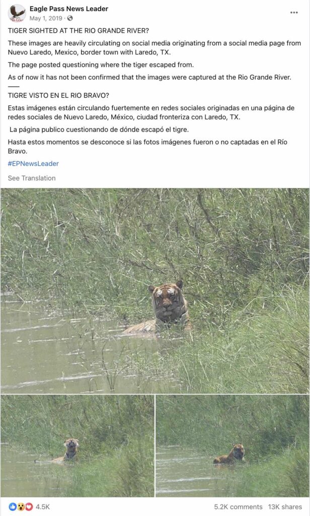 Eagle Pass News Leader shares tiger photo in 2019 Eagle Pass News Leader shares tiger photo in 2019