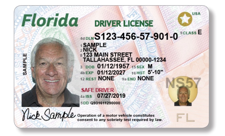 Florida Driver's License Sample