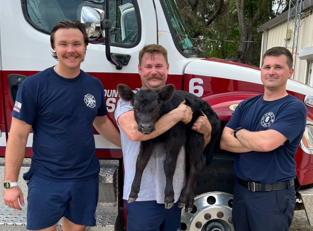 MCFR Captain Justin McKinney adopts newborn calf that was rescued from swamp March 2024 photo by MCFR 2