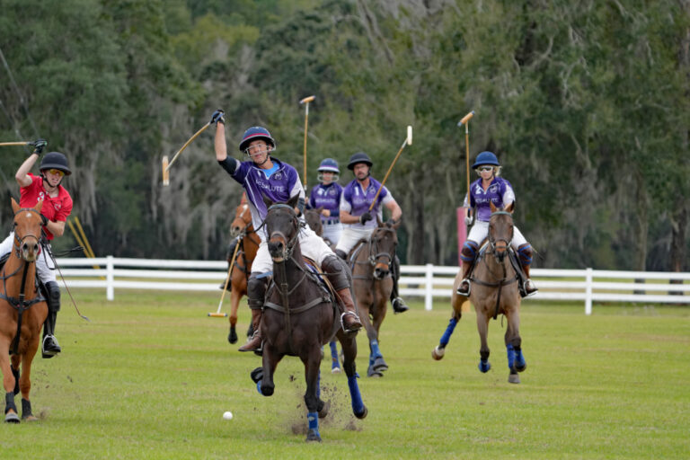 Polo action at Florida Horse Park in Ocala