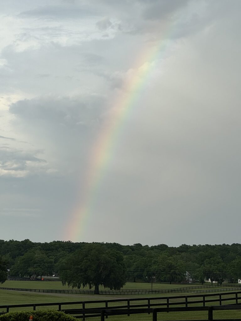 Rainbow view from Double Diamond Farm in Ocala
