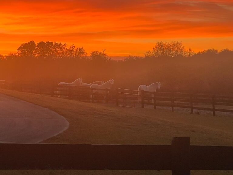 Sunset over Gloria Austin Stables in Weirsdale