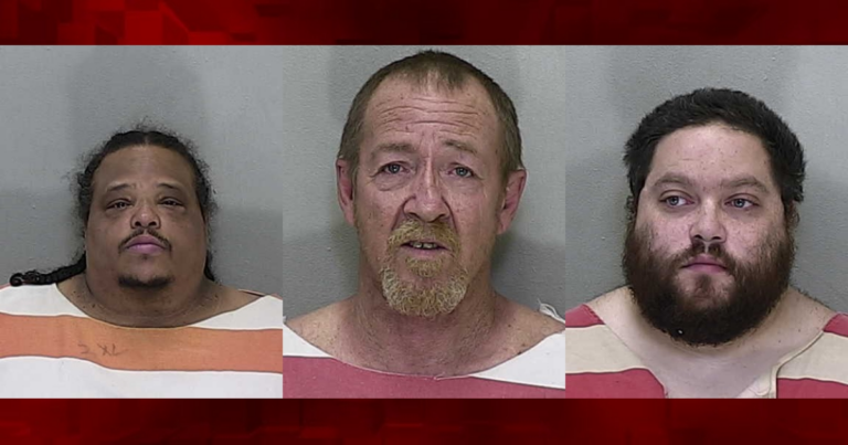 Three Marion men accused of online child sex crimes